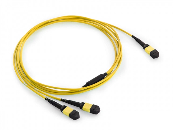 MTP/MPO Shuffle Cable